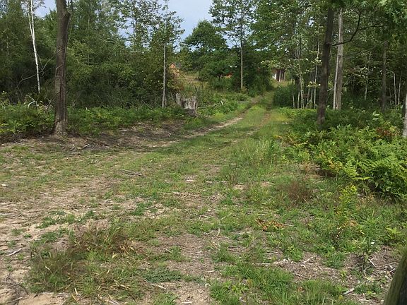 Road from buildings to back