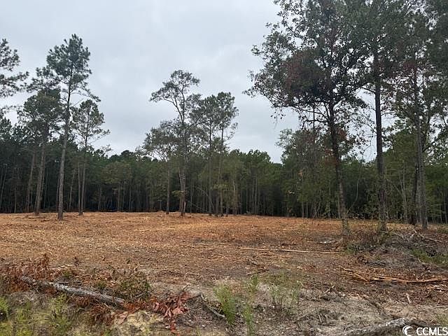2nd image of 1-A McNabb Rd.