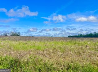 0 Steve Jackson Rd, Unadilla, GA 31091