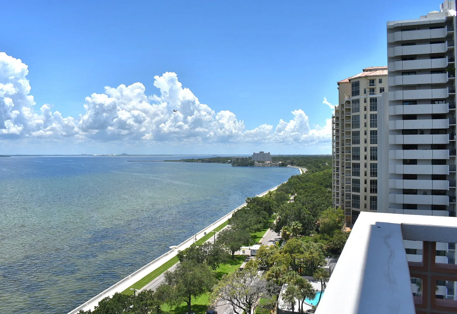 4015 Bayshore Blvd — Photo 3