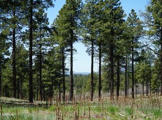 13398 E Fallow Deer Rd #28, Parks, AZ 86018