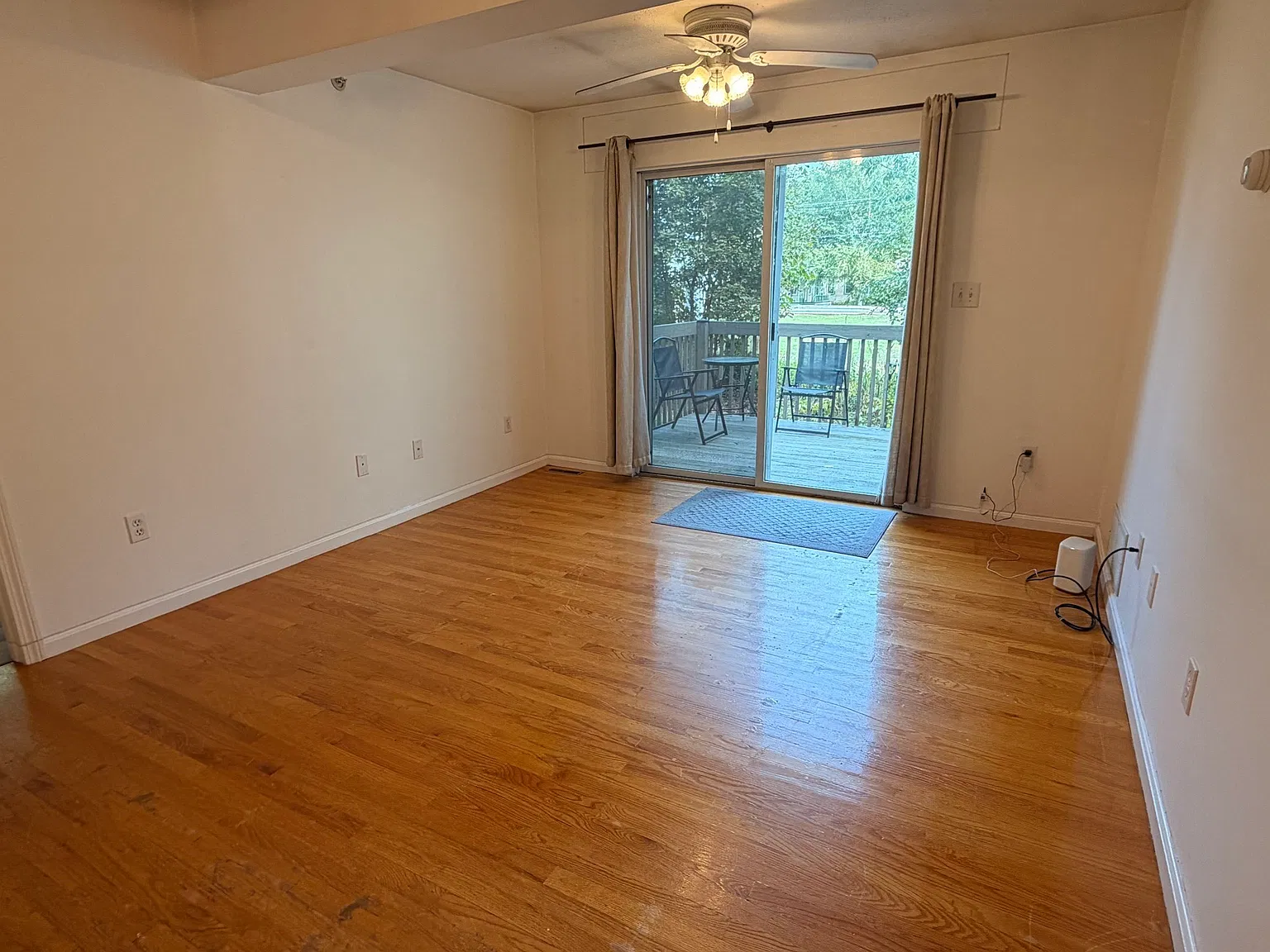 2 bed, 1.0 bath, 637 sqft, $2,000 — Photo 3