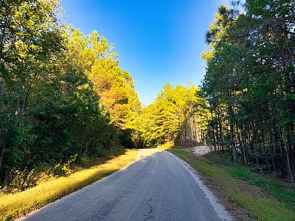 4th image of 0 Williams Grove Rd Lot 1
