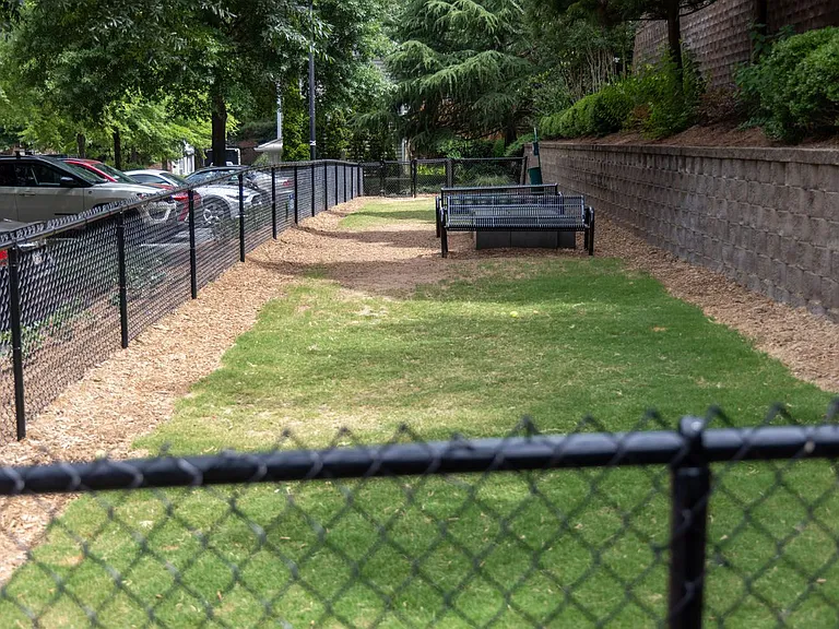 Walton Centennial — Photo 14
