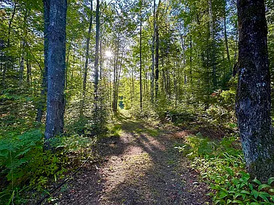 Property photo 74