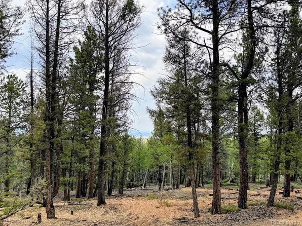 1789 Bellows Road, Hartsel, CO 80449
