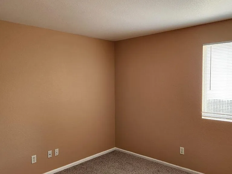 4845 Mount Evans St — Photo 15