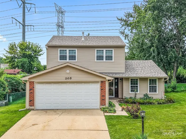 205 Yellow Pine Dr, Bolingbrook, IL 60440