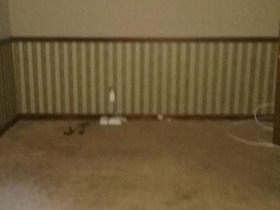 5th image of 2645 Portsmouth Pl