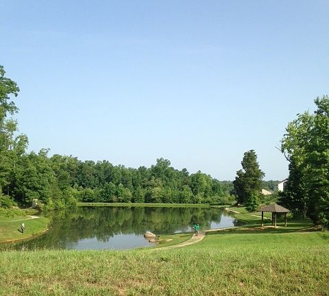 Pond in Salem Springs!