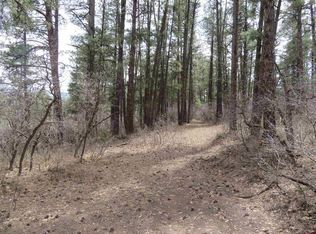 148 Ridge Pl, Pagosa Springs, CO 81147