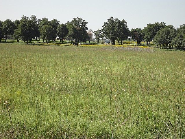 Beautiful homesite on 10 Acres M/L