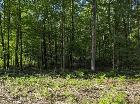 LOT 179 Shadowbrook Dr, Lake, MI 48632