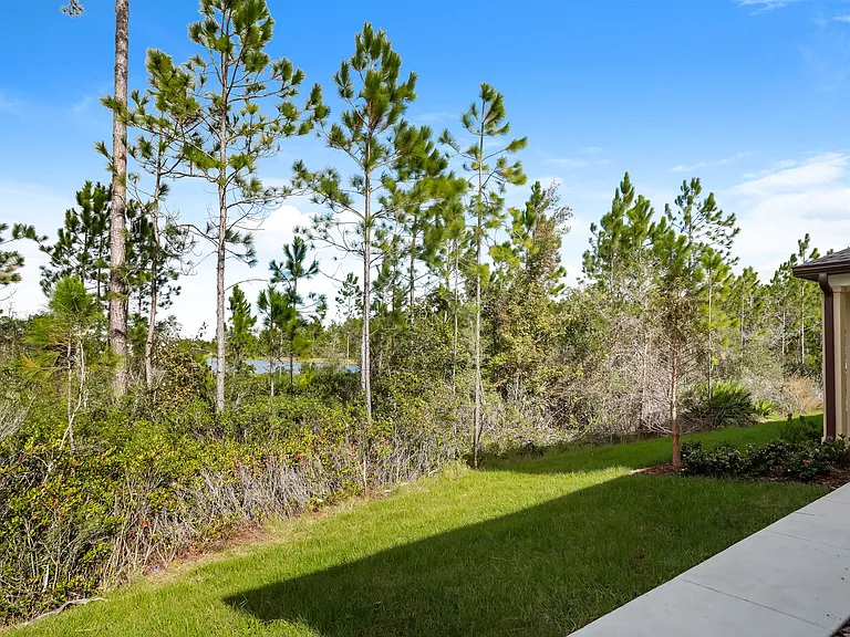 Treeline Trails — Photo 31