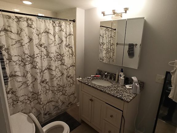 2nd image of 1018 N Damen Ave #1-D