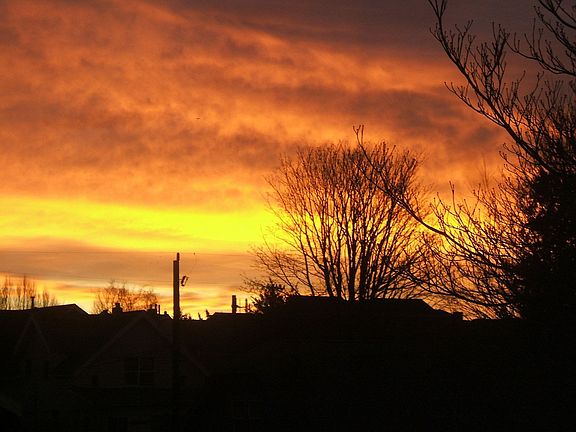Sunset From Back