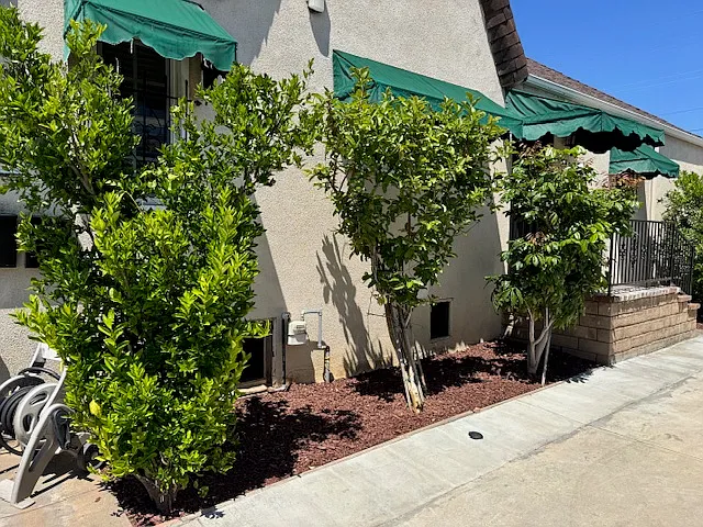 3 bed, 1300 sqft, $3,600 — Photo 3