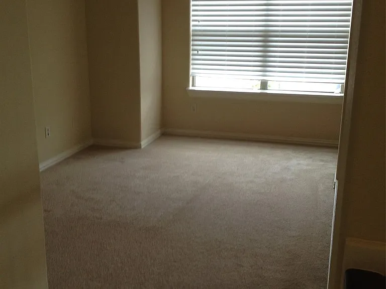 2038 Palm Forest Ln — Photo 16