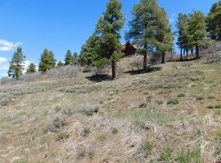 24 Carlee Pl, Pagosa Springs, CO 81147