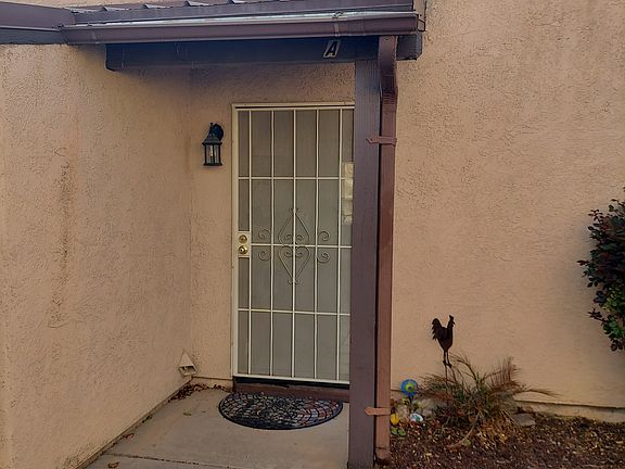 Front door ( security door )