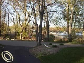 5th image of 33646 Avondale St