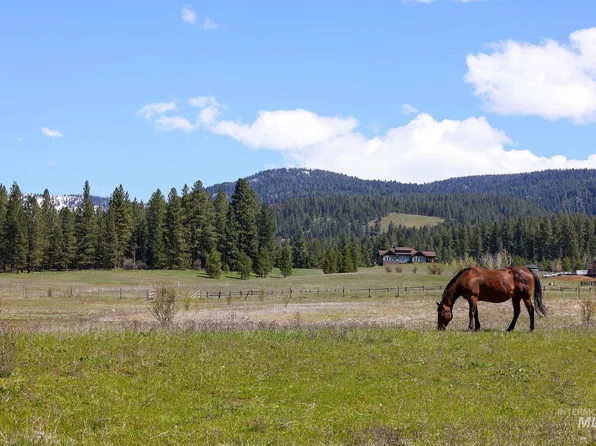 Wallace Ln, New Meadows, ID 83654
