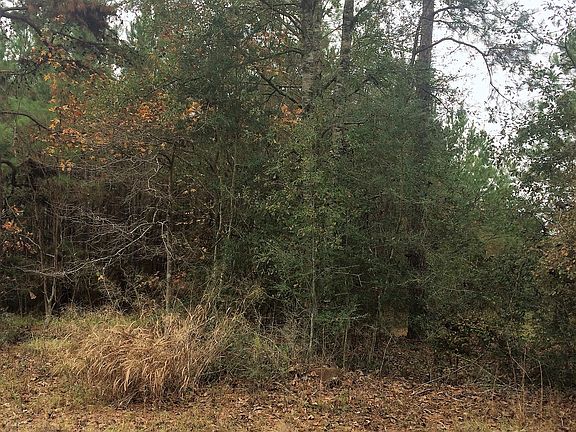 4th image of 21.33 Acres Ok Ln