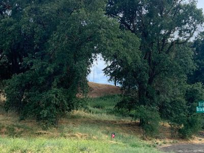 20008 Birdie Ct, Tehachapi, CA, 93561