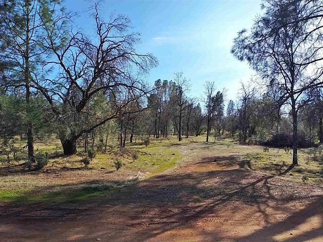 1st image of LOT 5 Palm Ave