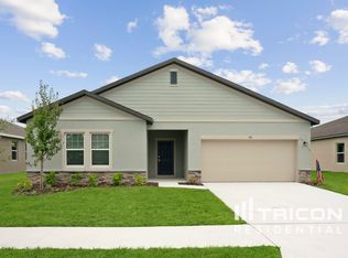 481 Spotted Slipper Pl, Ruskin, FL 33570