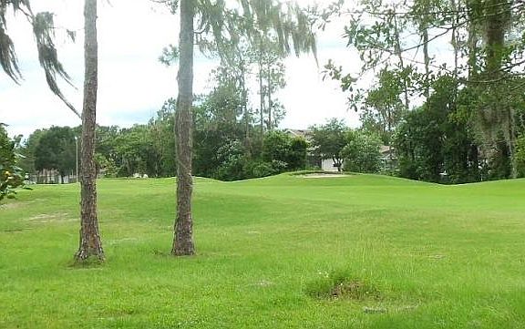 3rd image of 34822 Marsh Glen Ct