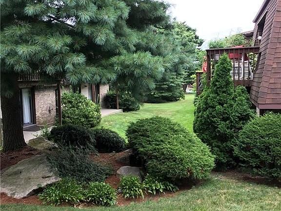 Serene Backyard