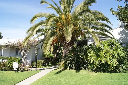 342-356 Nautilus Street Photo 1