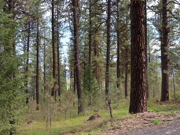 LOT 6 Hot Springs Rd, New Meadows, ID 83654