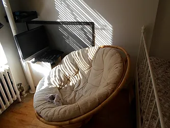 Rented by Sky Management