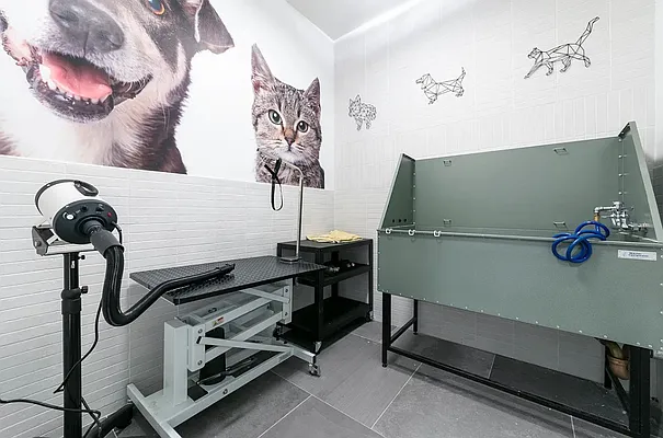 Rented by Dalan Rentals | media 25