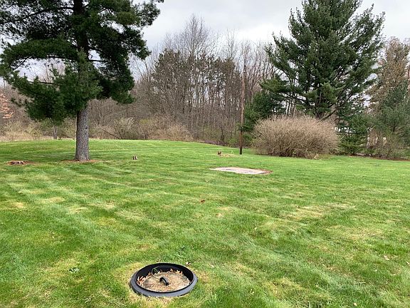 Backyard with view to large wooded area