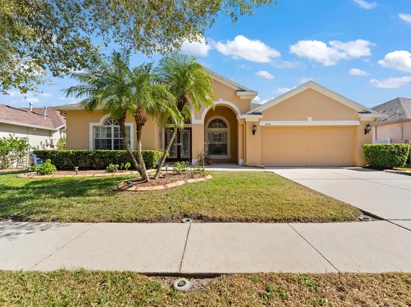 8225 Swann Hollow Dr, Tampa, FL 33647