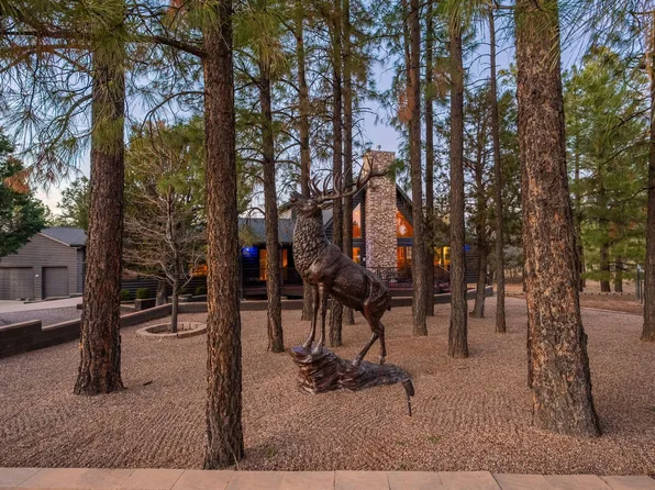 2214 Mountain Lion Ln, Overgaard, AZ 85933