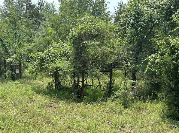 TRACT 2 Lcr 701, Kosse, TX 76653
