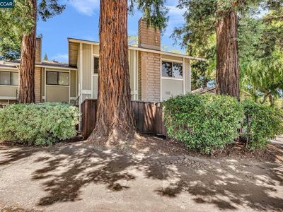 1081 San Ramon Valley Blvd, Danville, CA, 94526