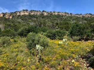 1317 Moss Buie Rd, Willow City, TX 78675