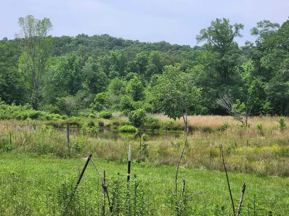 0 Lovejoy Rd, Hamilton, AL 35570