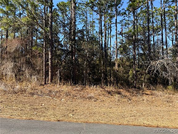 4th image of 8056 N Pocono Dr