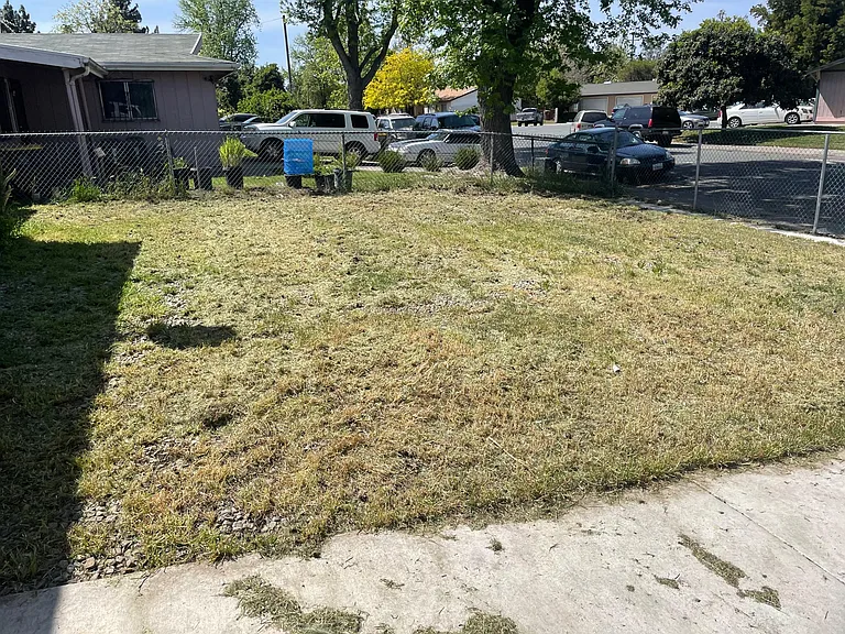 Front yard