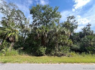 11091 W Townsend Ln, Homosassa, FL 34448