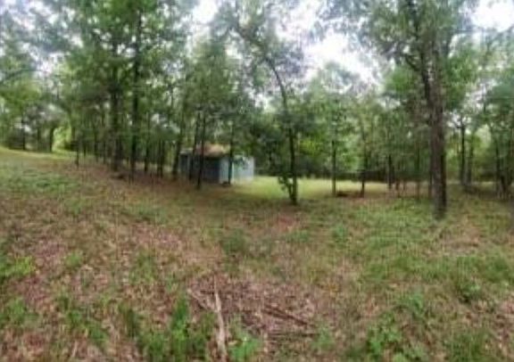 4th image of 10397 Mortensen Rd #109