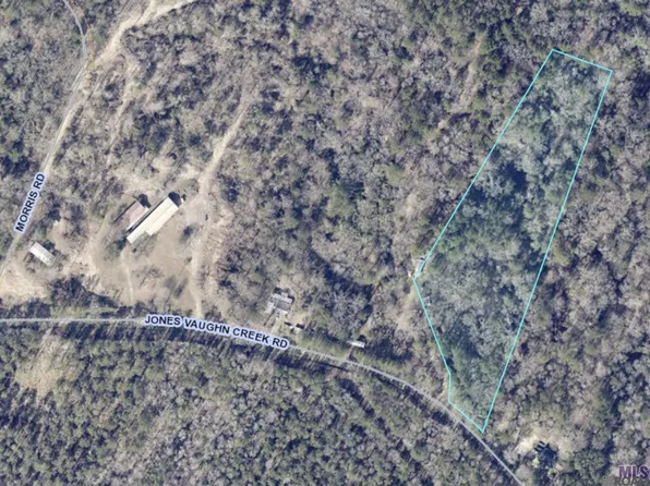 9754 Jones Vaughn Creek Rd, Saint Francisville, LA 70775