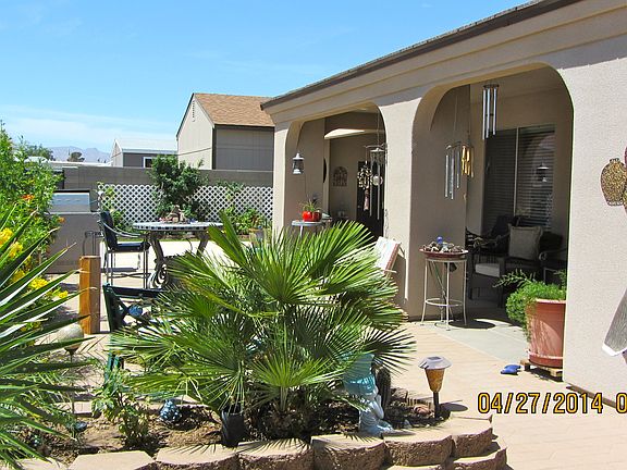 Back yard