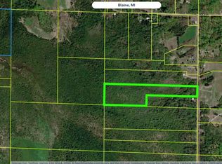 0 Swamp Rd, Frankfort, MI 49635